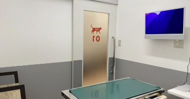ねこ診察室