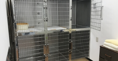 ねこ入院室