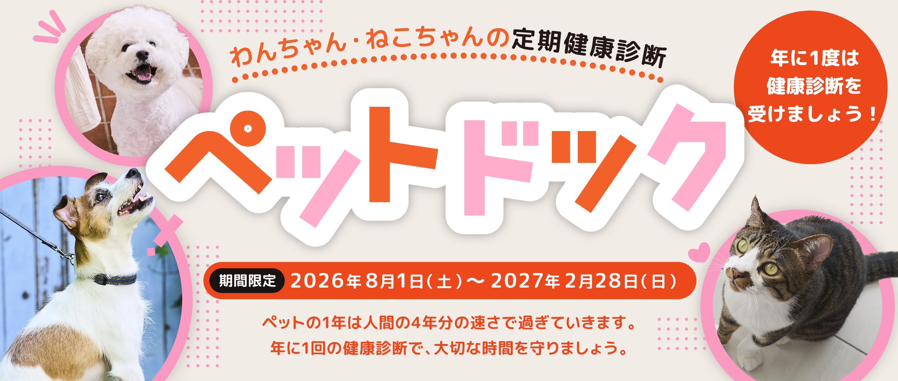 イオンペット　ペットドック 2026
