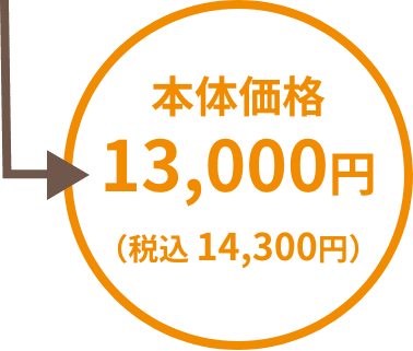 本体価格13,000円