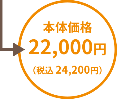 本体価格22,000円