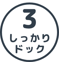しっかりドック