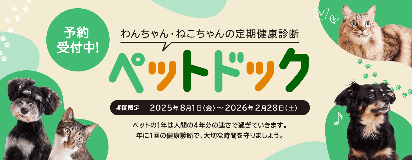 イオンペット ペットドック 2025