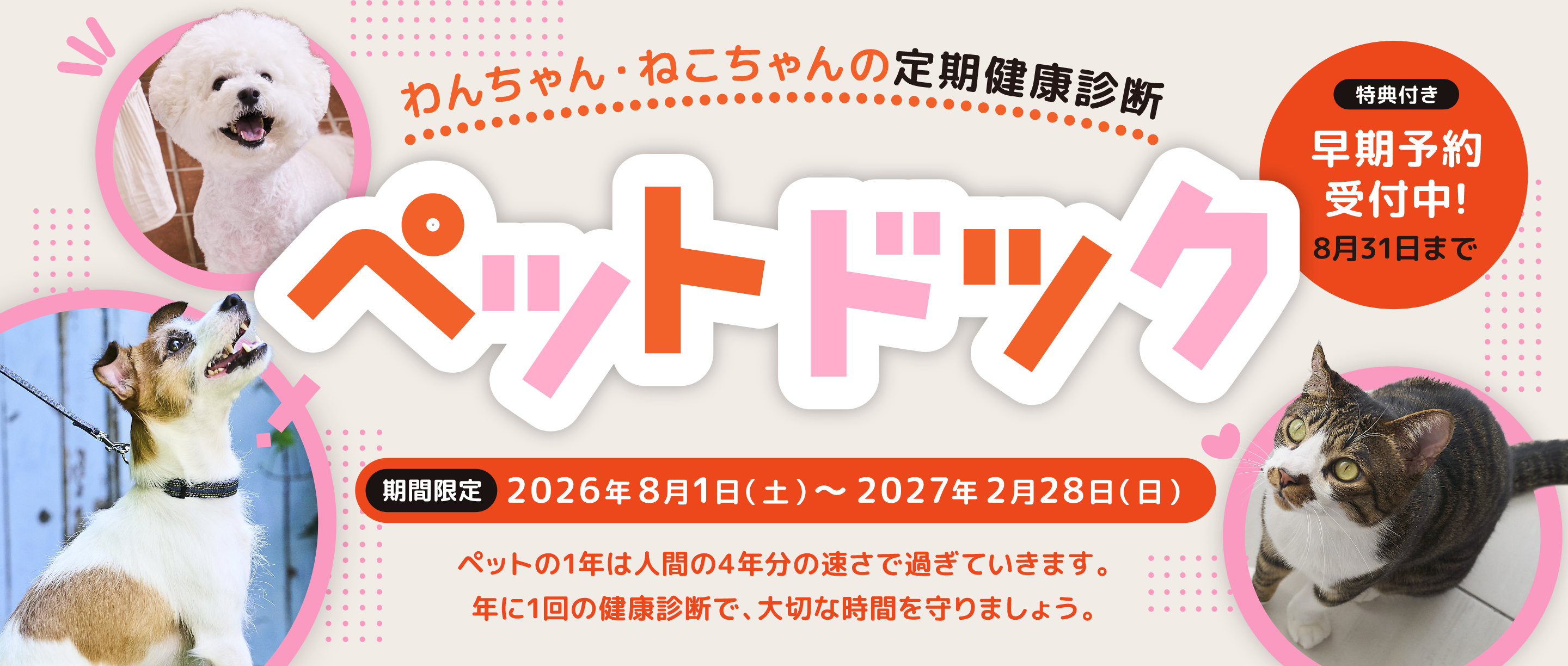 イオンペット ペットドック 2026 | イオンペットの動物病院