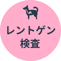 レントゲン検査