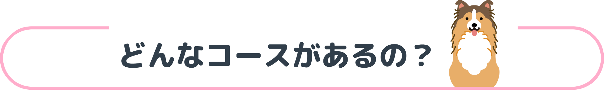 どんなコースがあるの？