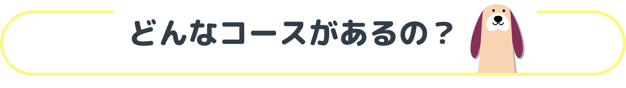 どんなコースがあるの？