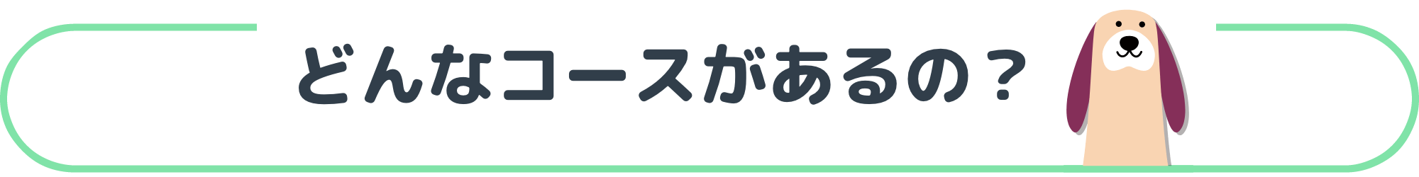 どんなコースがあるの?