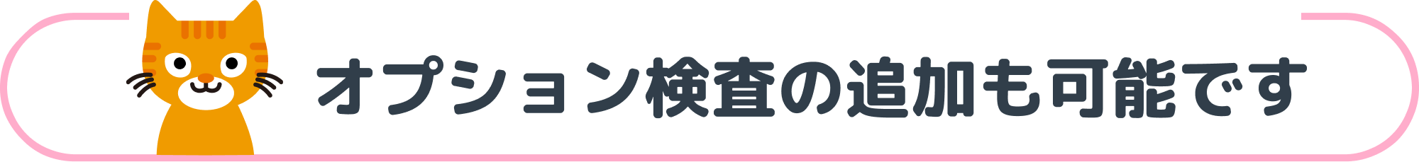 オプション検査の追加も可能です