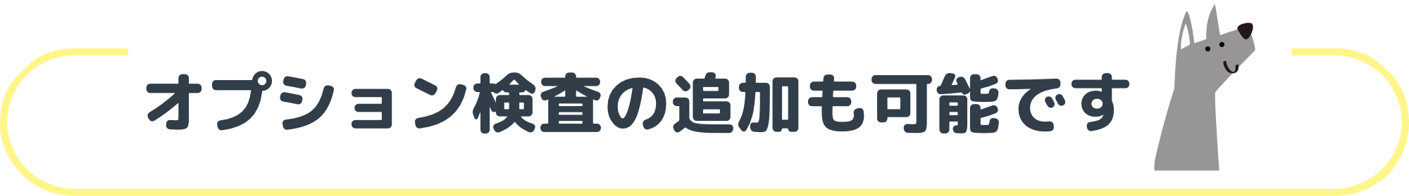 オプション検査の追加も可能です