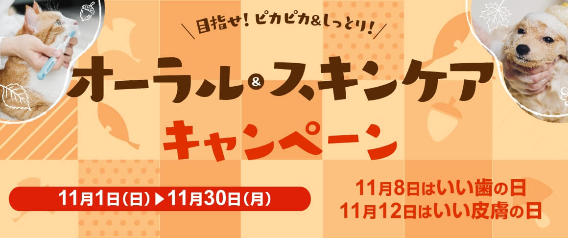 デンタルケアキャンペーン