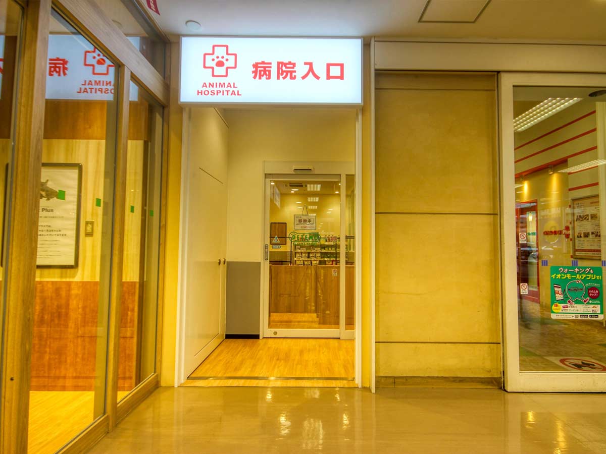 入口