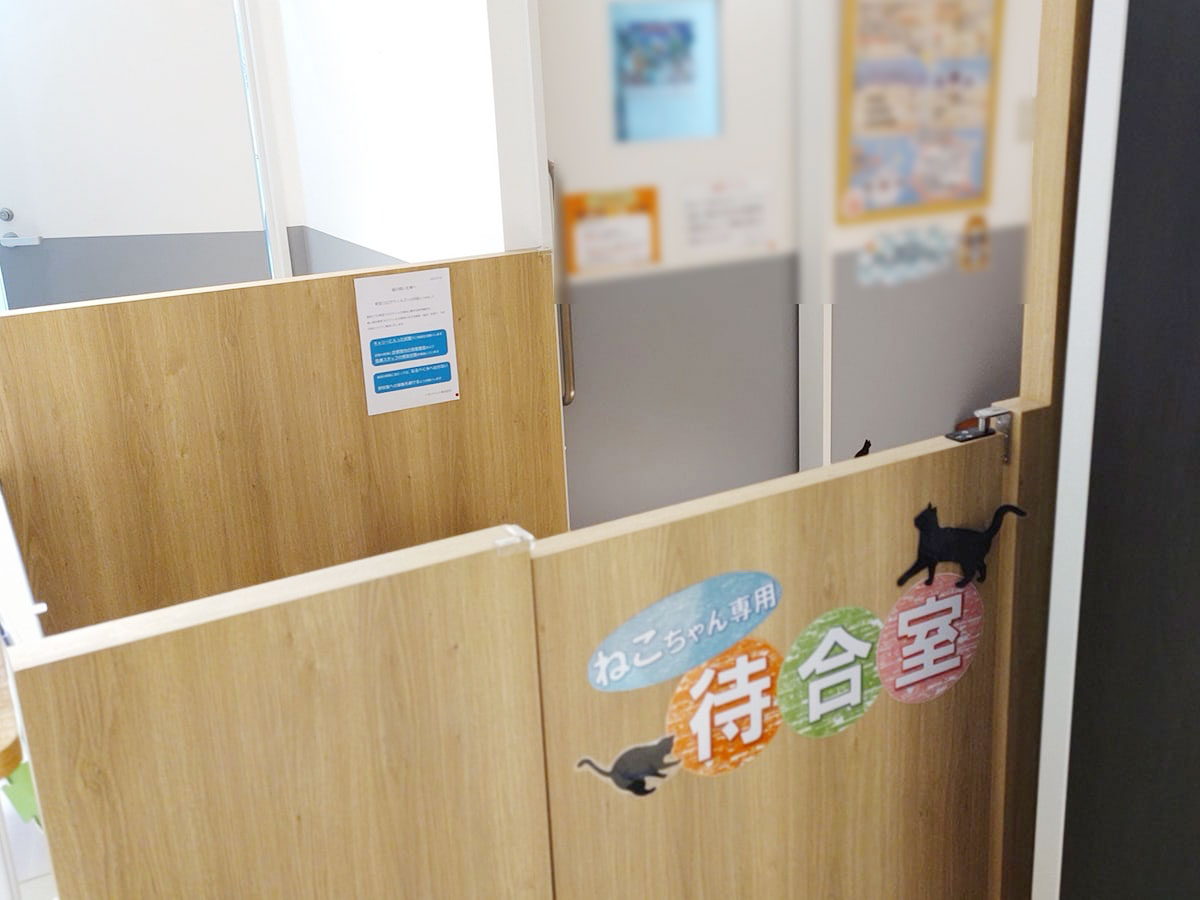 ネコちゃん専用待合スペース