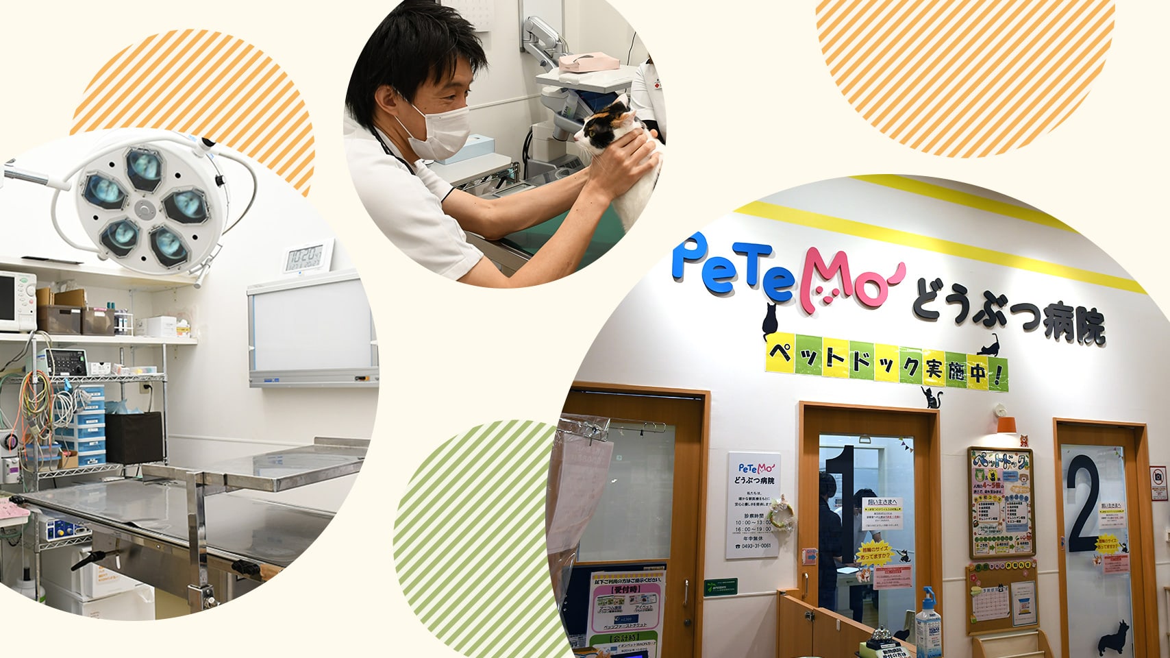ペテモ動物病院 ピオニウォーク東松山 東松山市 高坂 坂戸市 大切なペットの健康をサポートします イオン アテナ ペテモ の動物病院