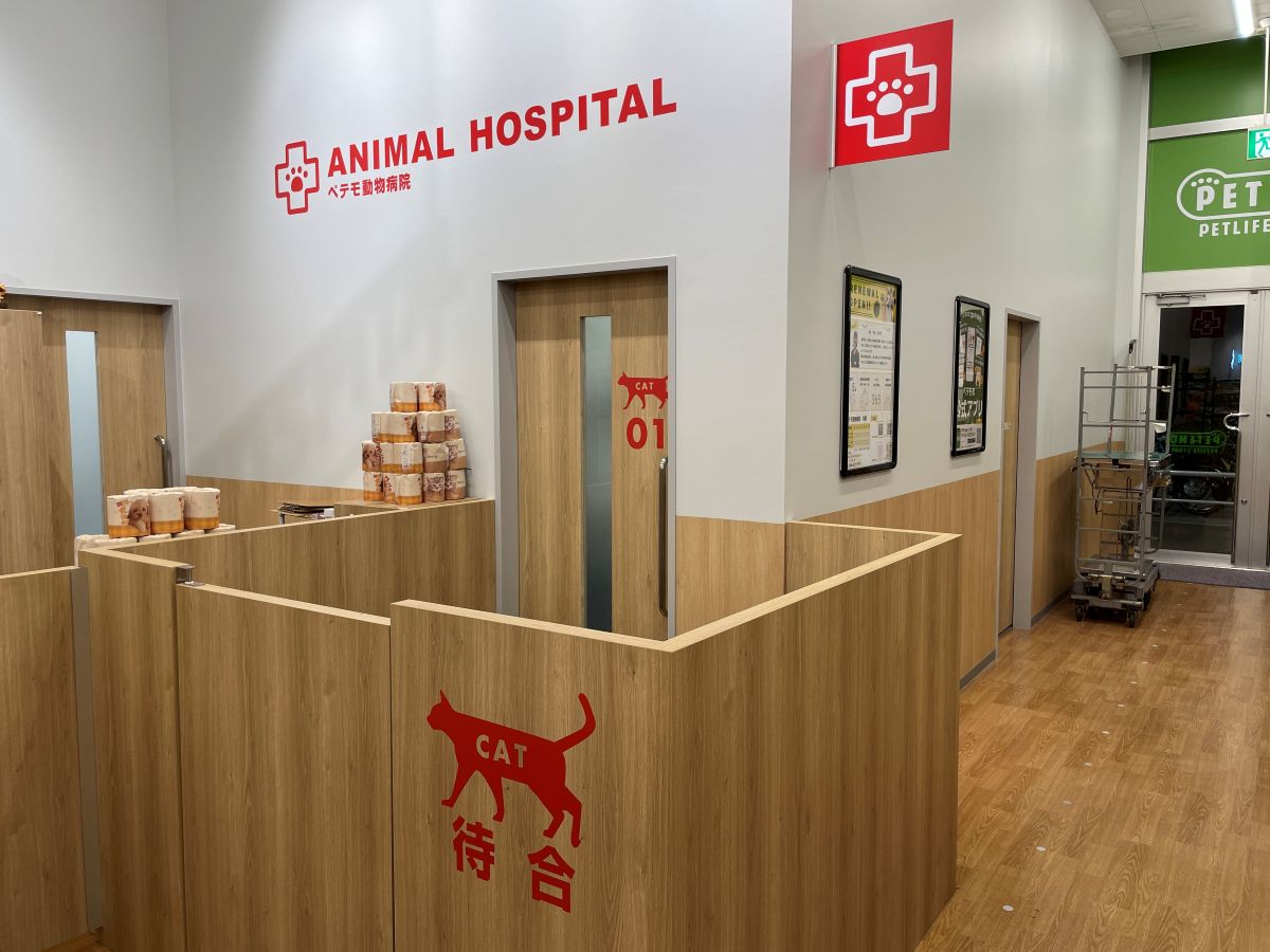 ネコちゃん用待合