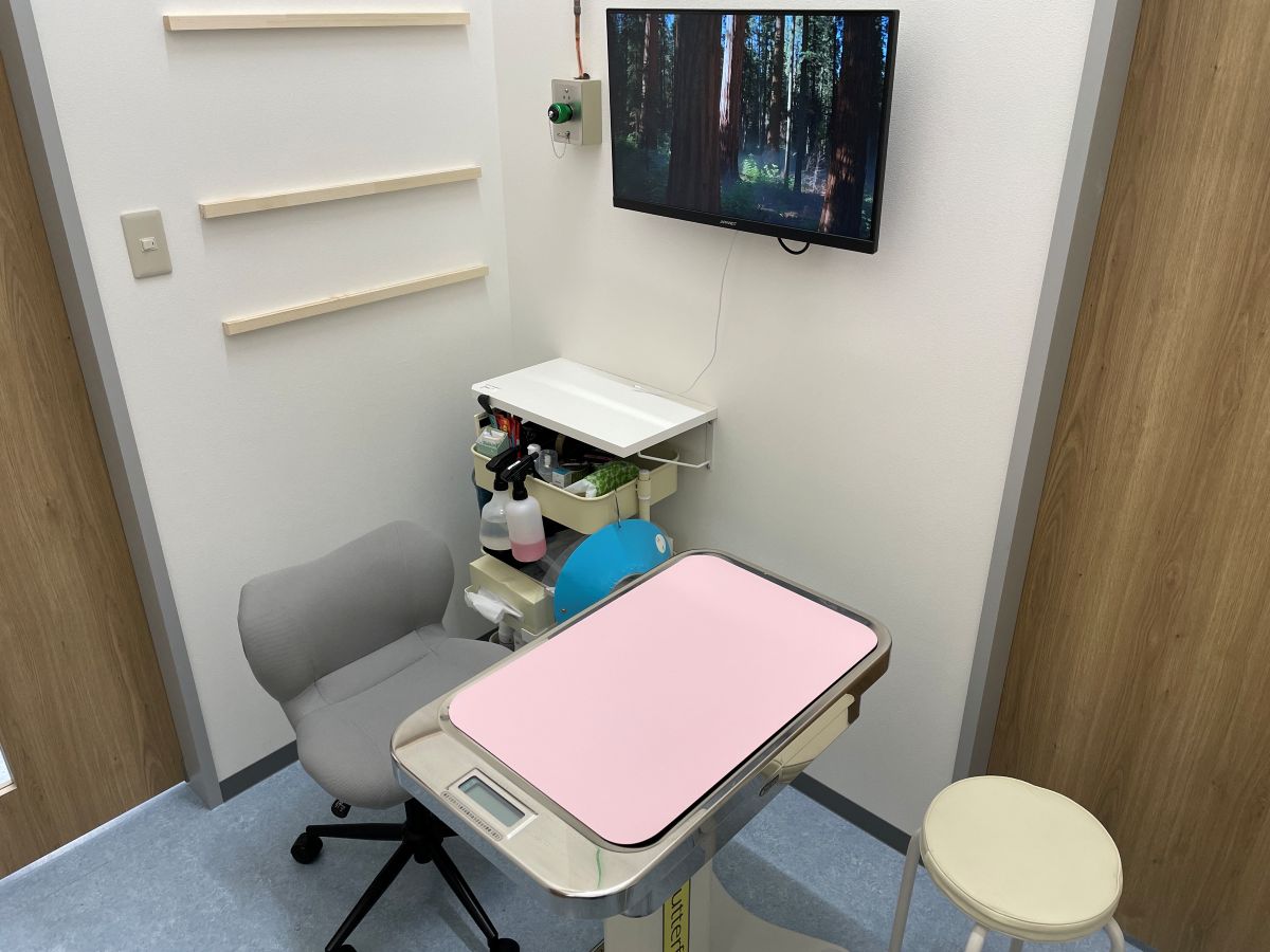 ネコちゃん用診察室