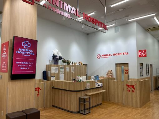 ペテモ動物病院 与野