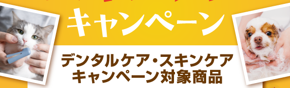 デンタル＆スキンケア 2