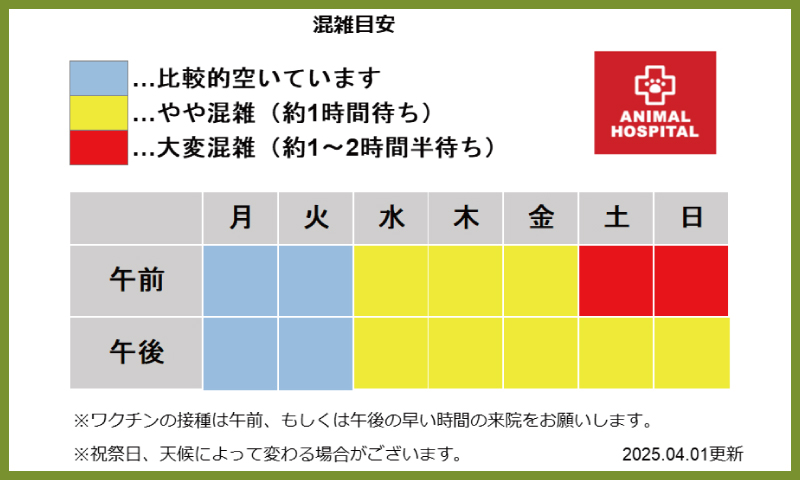 ペテモ動物病院 西新井 混雑MAP